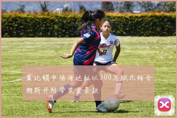 莱比锡中场海达拉以300万欧元转会朗斯并附带奖金条款