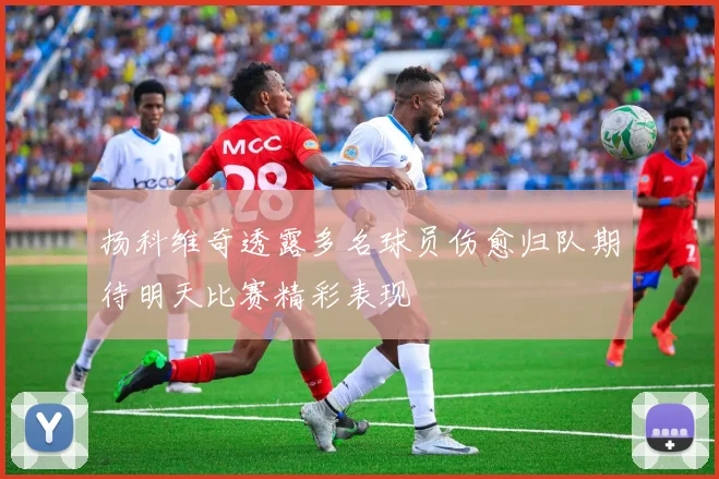 扬科维奇透露多名球员伤愈归队期待明天比赛精彩表现