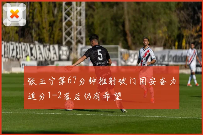 张玉宁第67分钟推射破门国安奋力追分1-2落后仍有希望