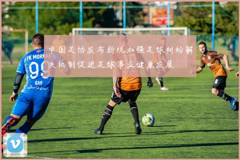 中国足协发布新规加强足球纠纷解决机制促进足球事业健康发展